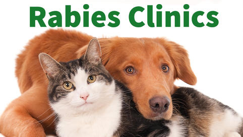 free rabies clinics